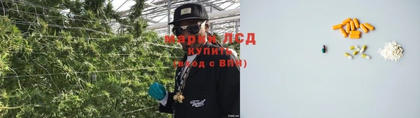 гидропоника Карталы