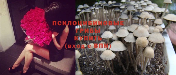 каннабис Баксан