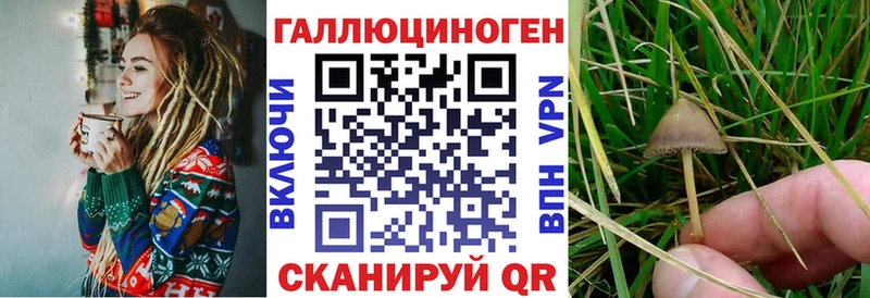 купить наркоту  Северо-Курильск  Галлюциногенные грибы GOLDEN TEACHER 